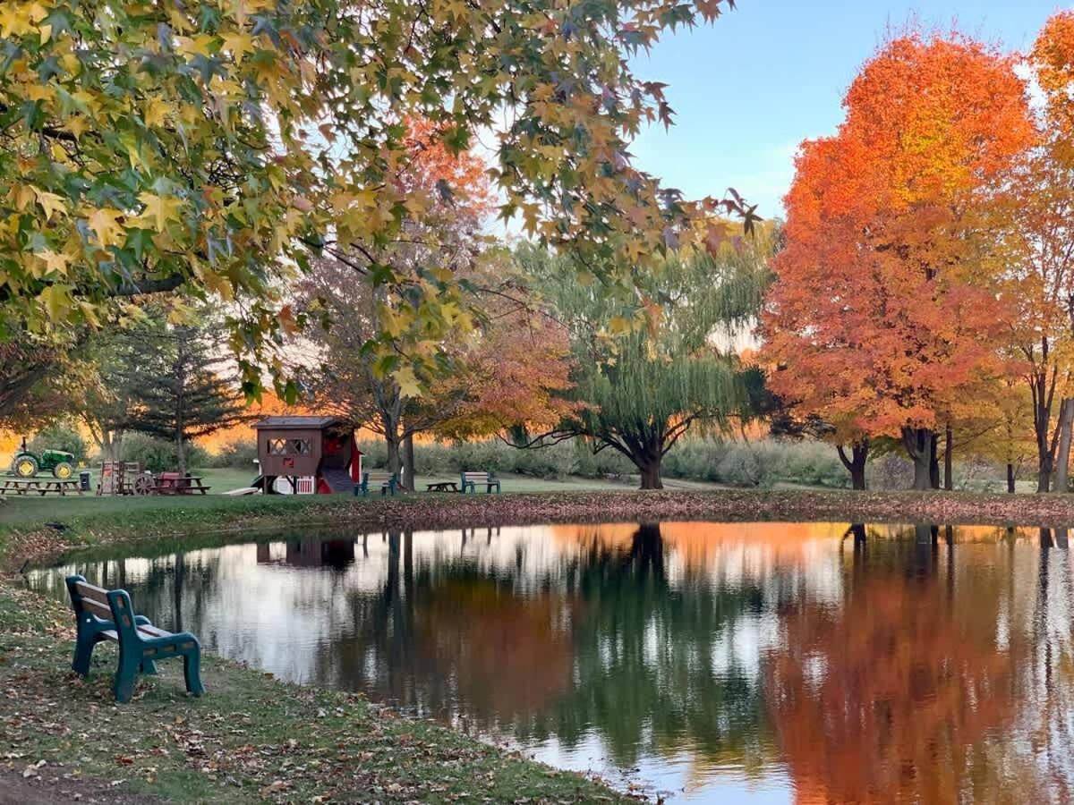 The Cortland Cottage At Brant'S Apple Orchard Ashtabula Esterno foto